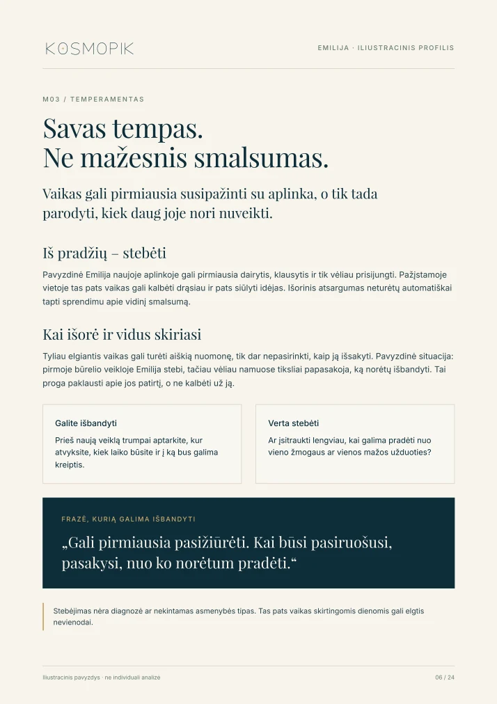 KOSMOPIK ataskaitos pavyzdys – 6 puslapis