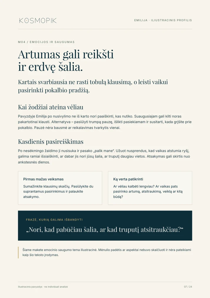 KOSMOPIK ataskaitos pavyzdys – 7 puslapis