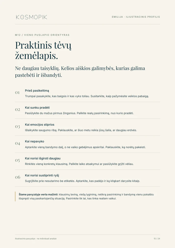 KOSMOPIK ataskaitos pavyzdys – 15 puslapis