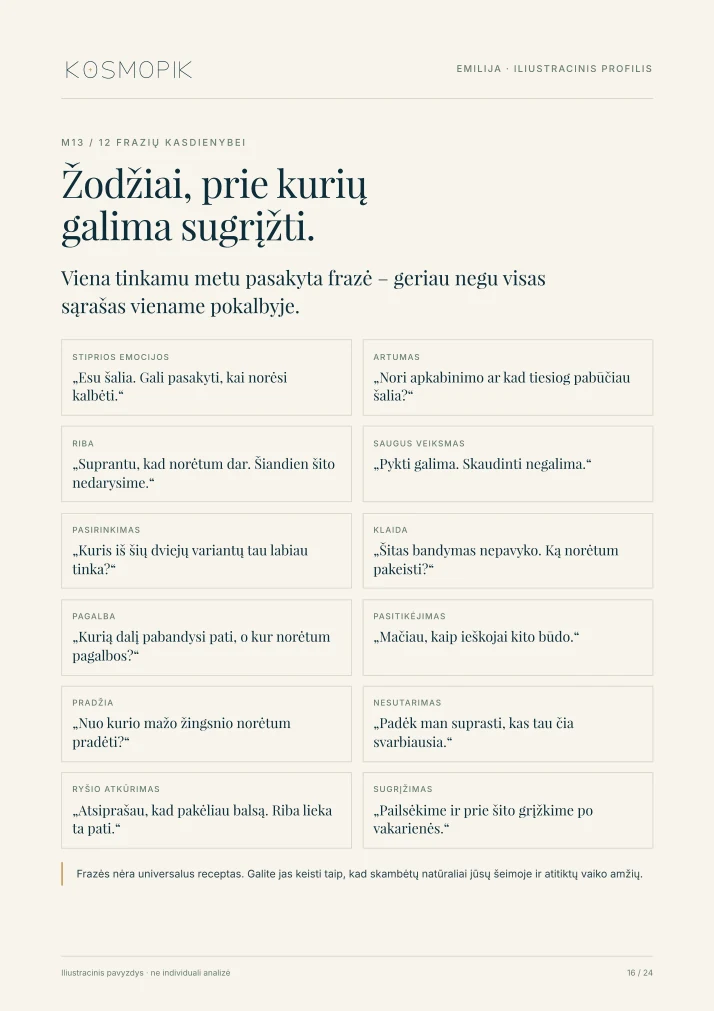 KOSMOPIK ataskaitos pavyzdys – 16 puslapis