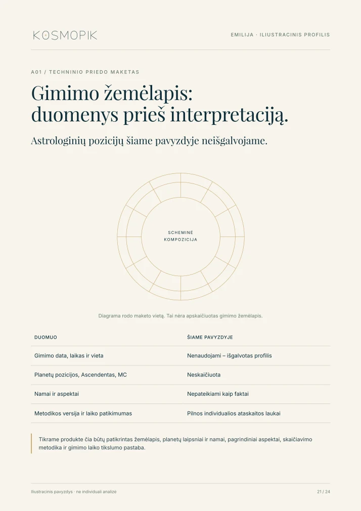 KOSMOPIK ataskaitos pavyzdys – 21 puslapis